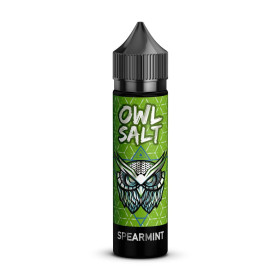 OWL Salt Longfill Spearmint Aroma 10ml in 60ml Flasche